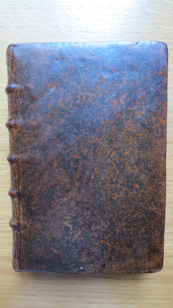 DU VERDIER (Gilbert SAULNIER). Le Voyage de France. Le blog